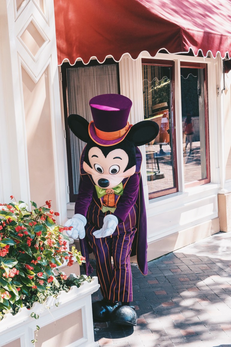 Stop 'n smell the roses