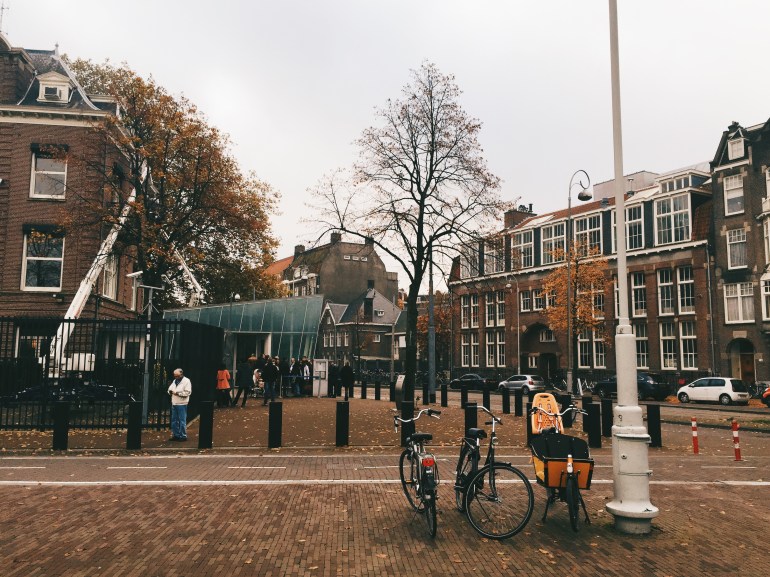 Consulate from the grass