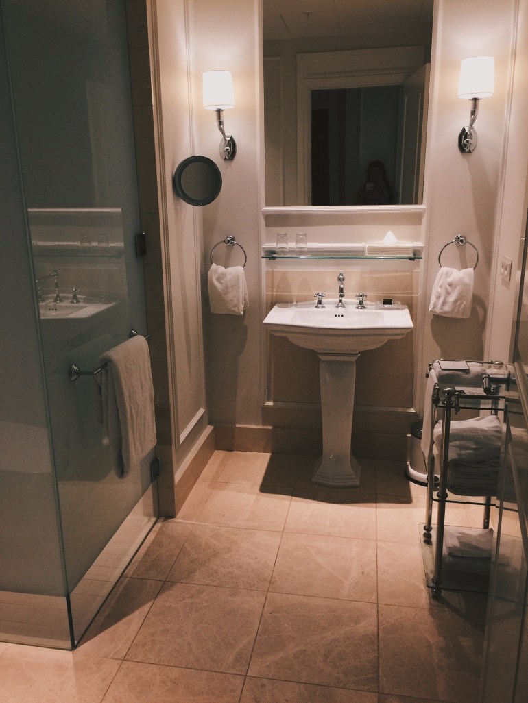 Hotel bathroom