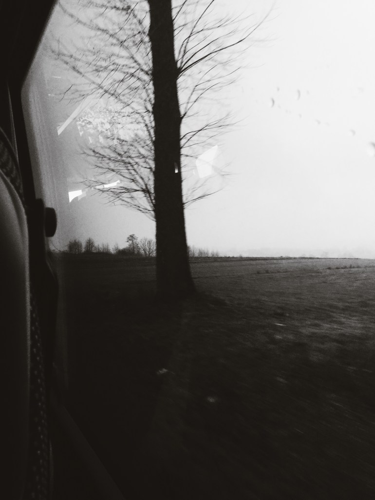 Auschwitz - car gloom