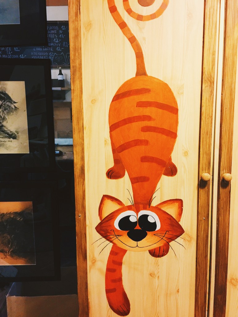 Kitty coffee wardrobe again