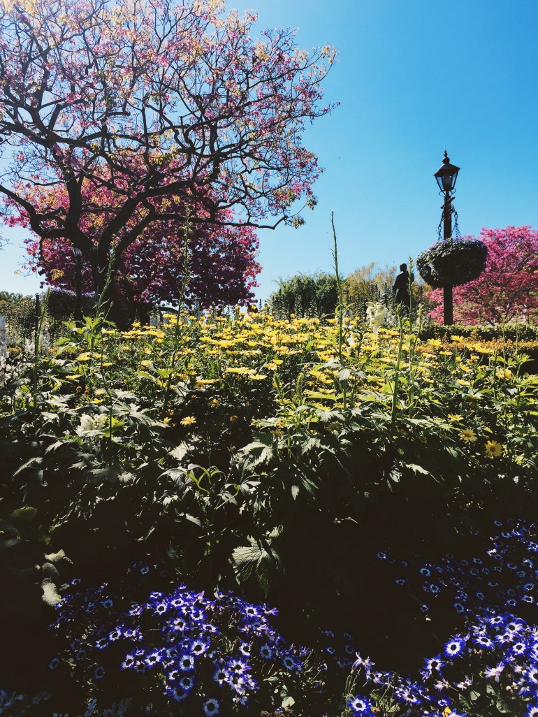 Disneyland castle + blooms