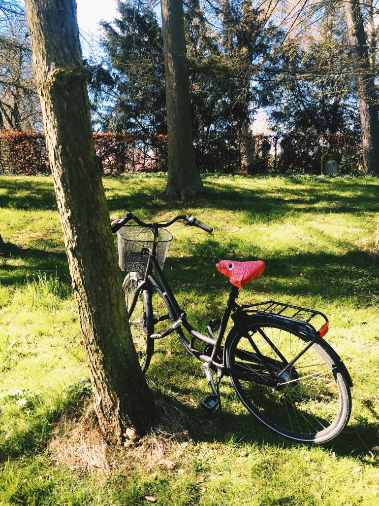 Bispebjerg solo bike