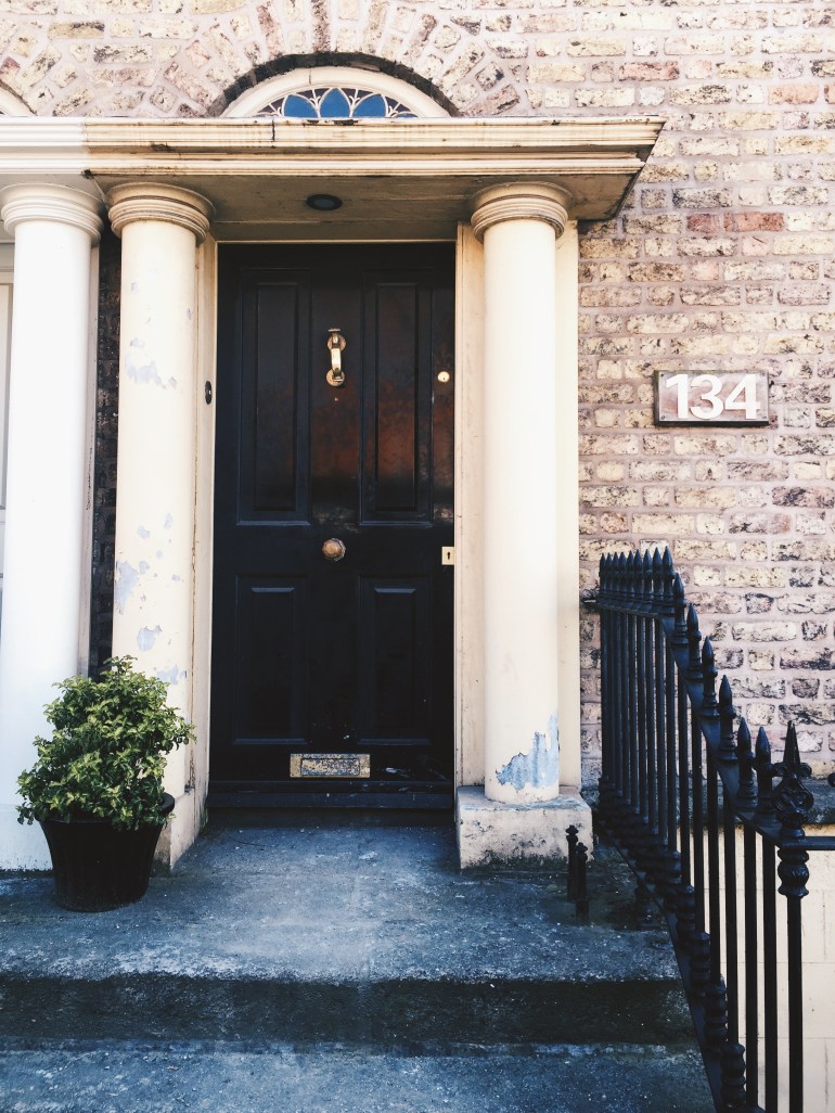 Wanderings - doors of Dublin