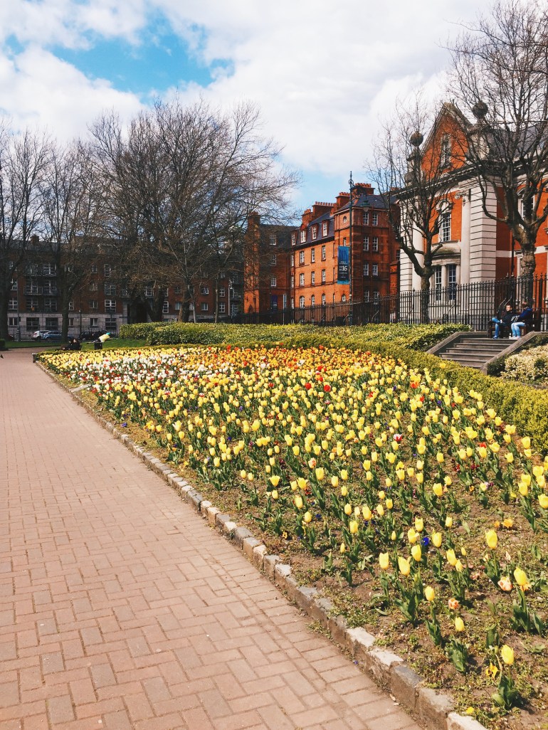 Touristing - tulip garden