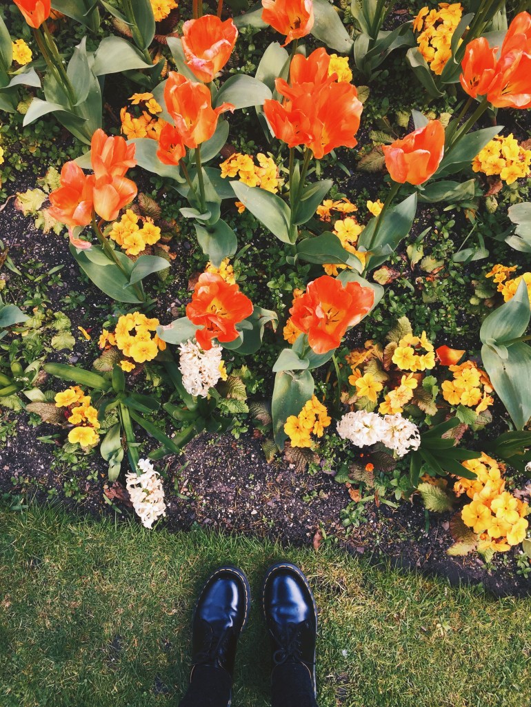 Touristing - St. Stephen's Green
