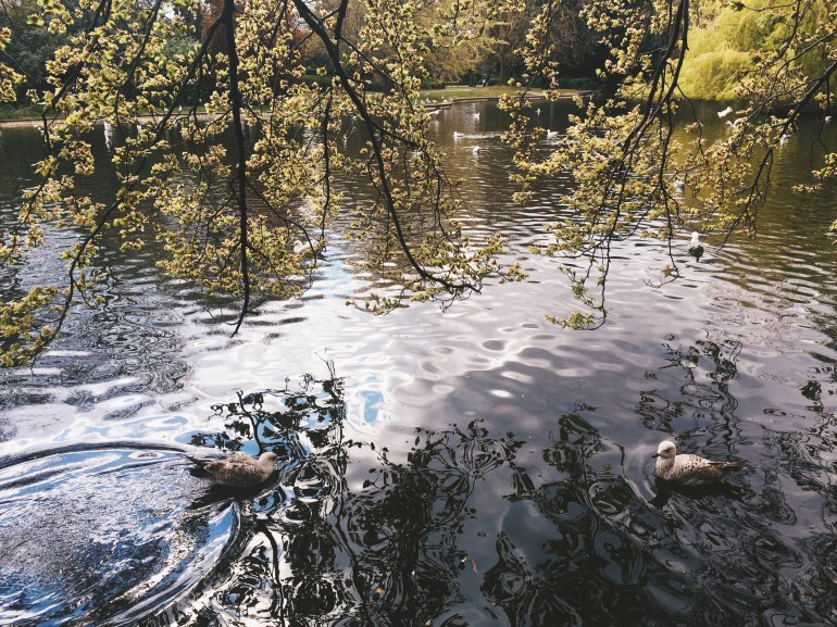 Touristing - St. Stephen's Green
