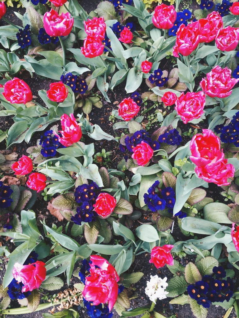 Touristing - St. Stephen's Green