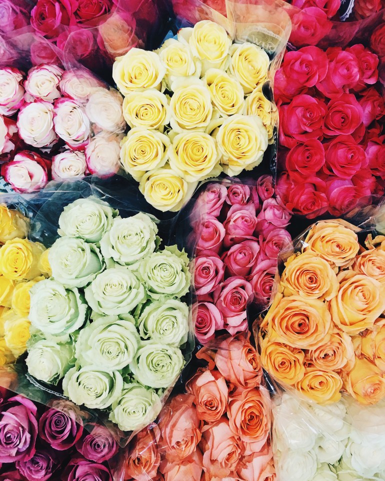 roses