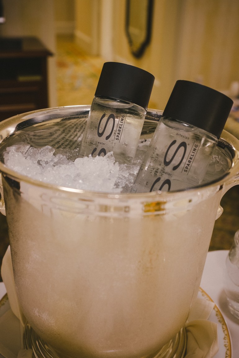 Tokyo Disneyland Hotel Voss