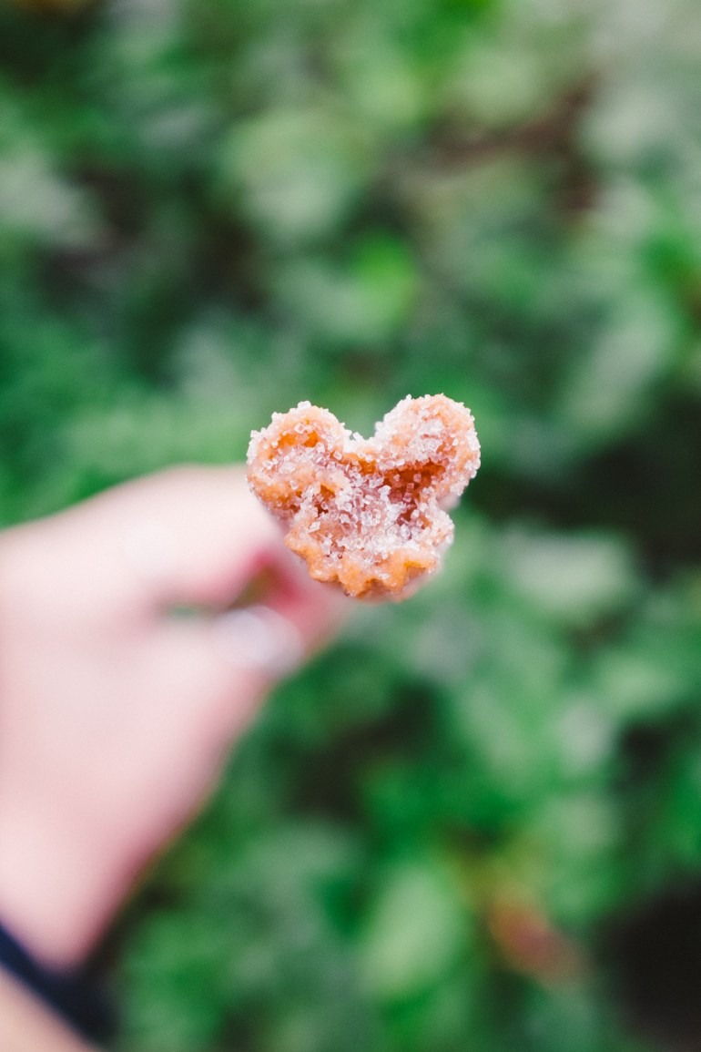 Tokyo Disneyland Churro