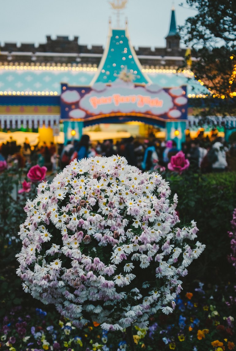 TokyoDisneyland