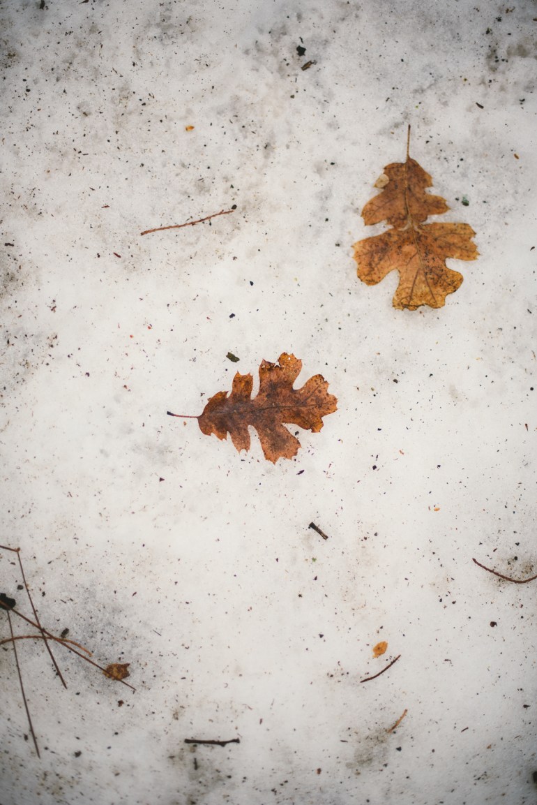 Majestic Yosemite Hotel