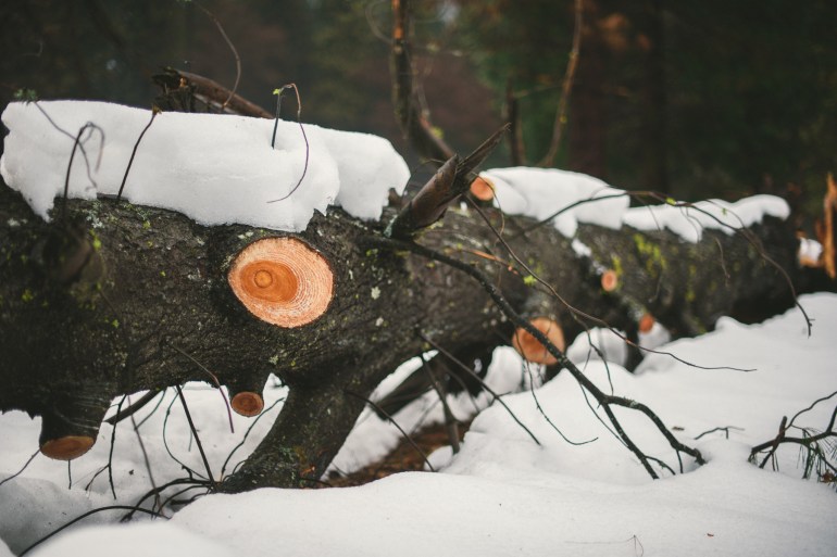 Majestic Yosemite Hotel