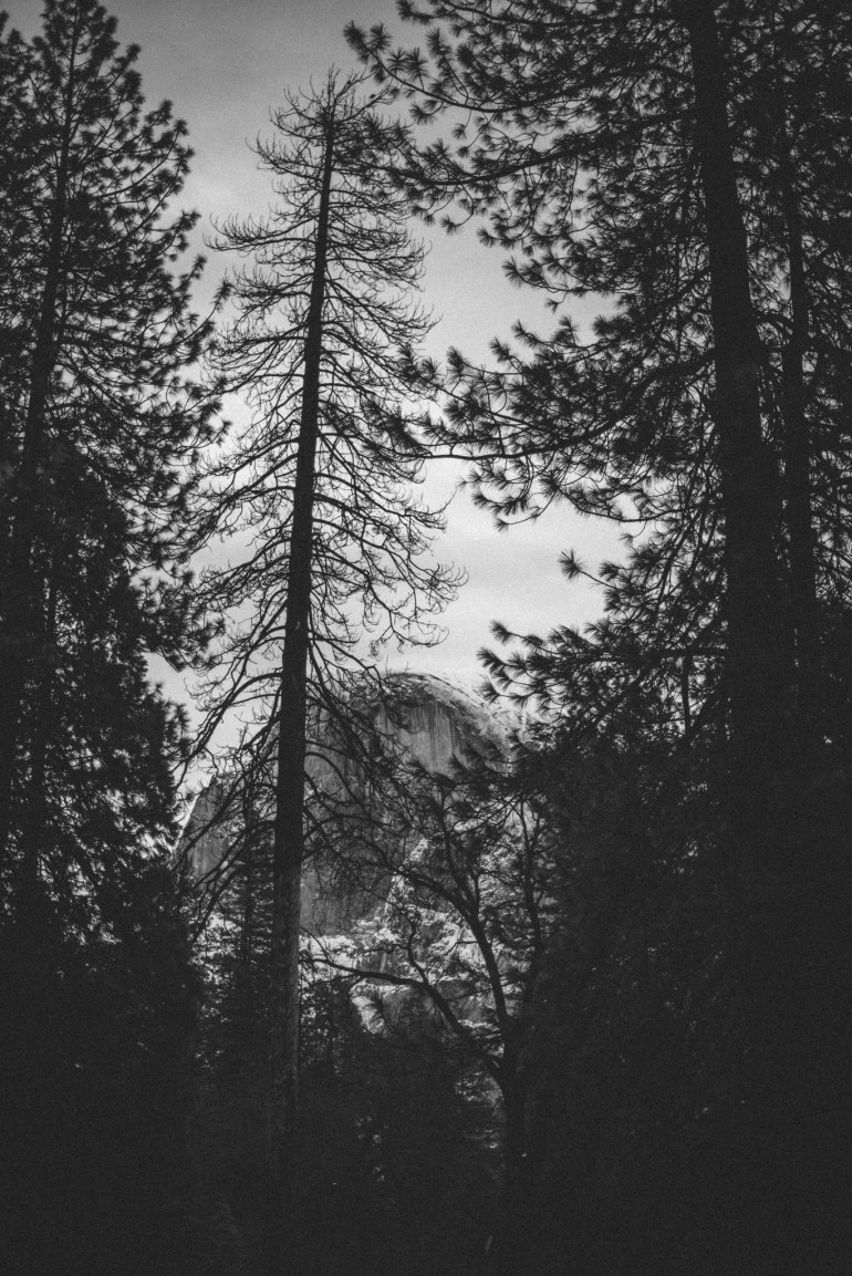 Half Dome