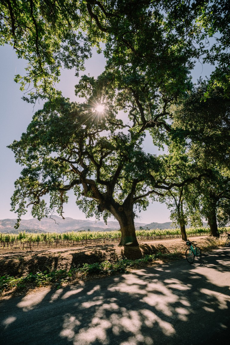 NapaValley