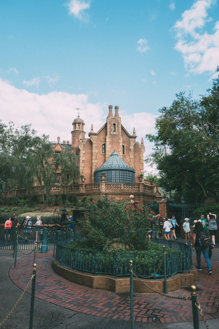 MagicKingdom